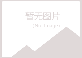 玉树夏青会计有限公司